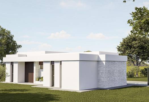 Obra Nueva - Villa / Chalet - Pinoso - Lel