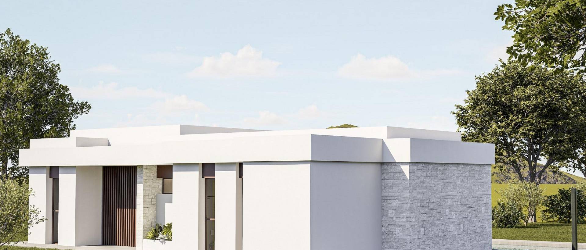 Obra Nueva - Villa / Chalet - Pinoso - Lel