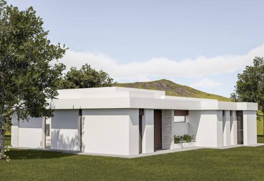 Obra Nueva - Villa / Chalet - Pinoso - Lel