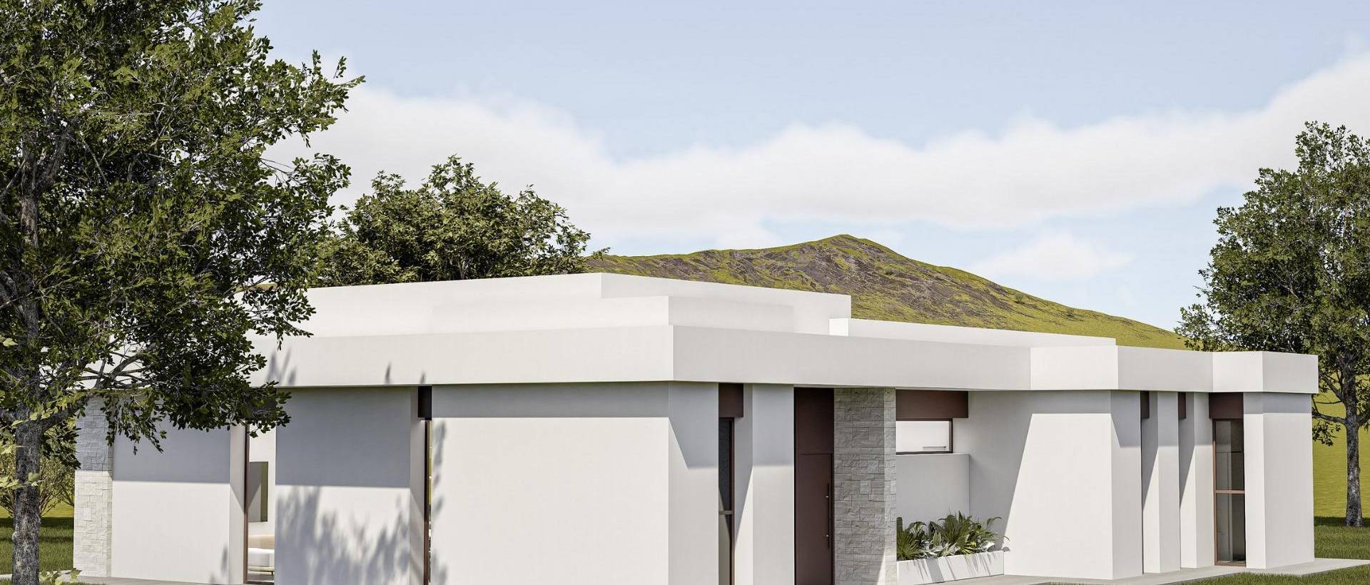 Obra Nueva - Villa / Chalet - Pinoso - Lel