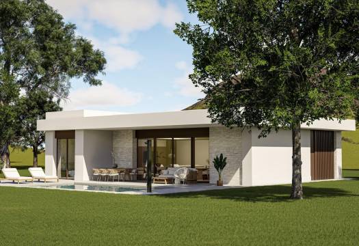Obra Nueva - Villa / Chalet - Pinoso - Lel