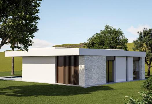Obra Nueva - Villa / Chalet - Pinoso - Lel