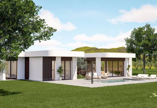 Obra Nueva - Villa / Chalet - Pinoso - Lel