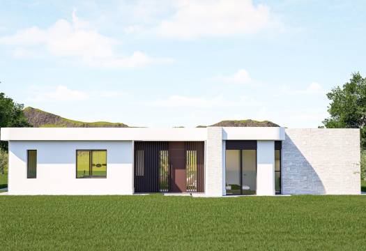 Obra Nueva - Villa / Chalet - Pinoso - Lel