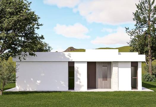 Obra Nueva - Villa / Chalet - Pinoso - Lel