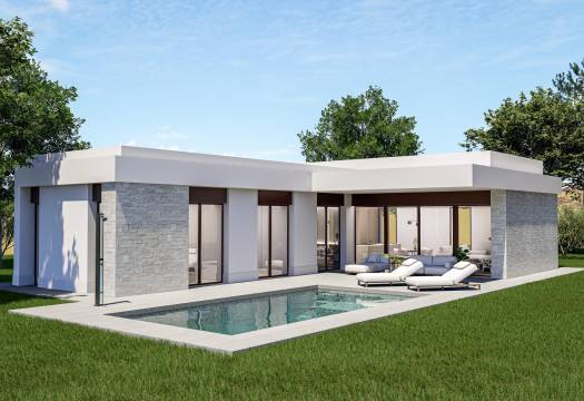 Obra Nueva - Villa / Chalet - Pinoso - Lel