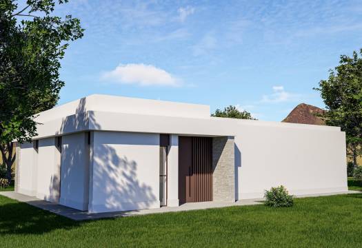 Obra Nueva - Villa / Chalet - Pinoso - Lel