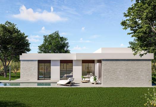 Obra Nueva - Villa / Chalet - Pinoso - Lel