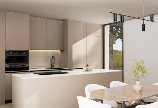 Obra Nueva - Villa / Chalet - Pinoso - Lel