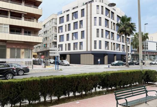 Obra Nueva - Apartmento - Torrevieja - El acequión