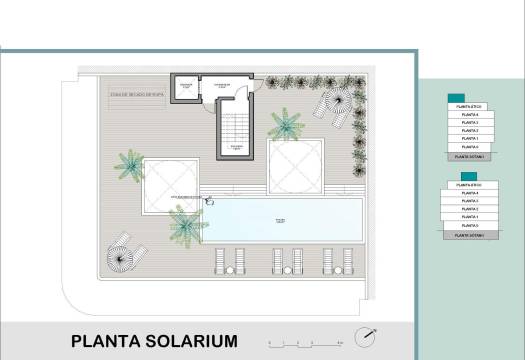 Obra Nueva - Apartmento - Torrevieja - El acequión