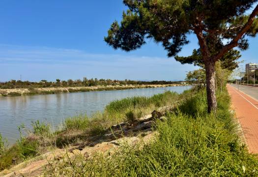 Obra Nueva - Apartmento - Guardamar del Segura - Puerto Deportivo