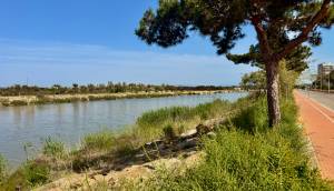 Obra Nueva - Apartmento - Guardamar del Segura - Puerto Deportivo