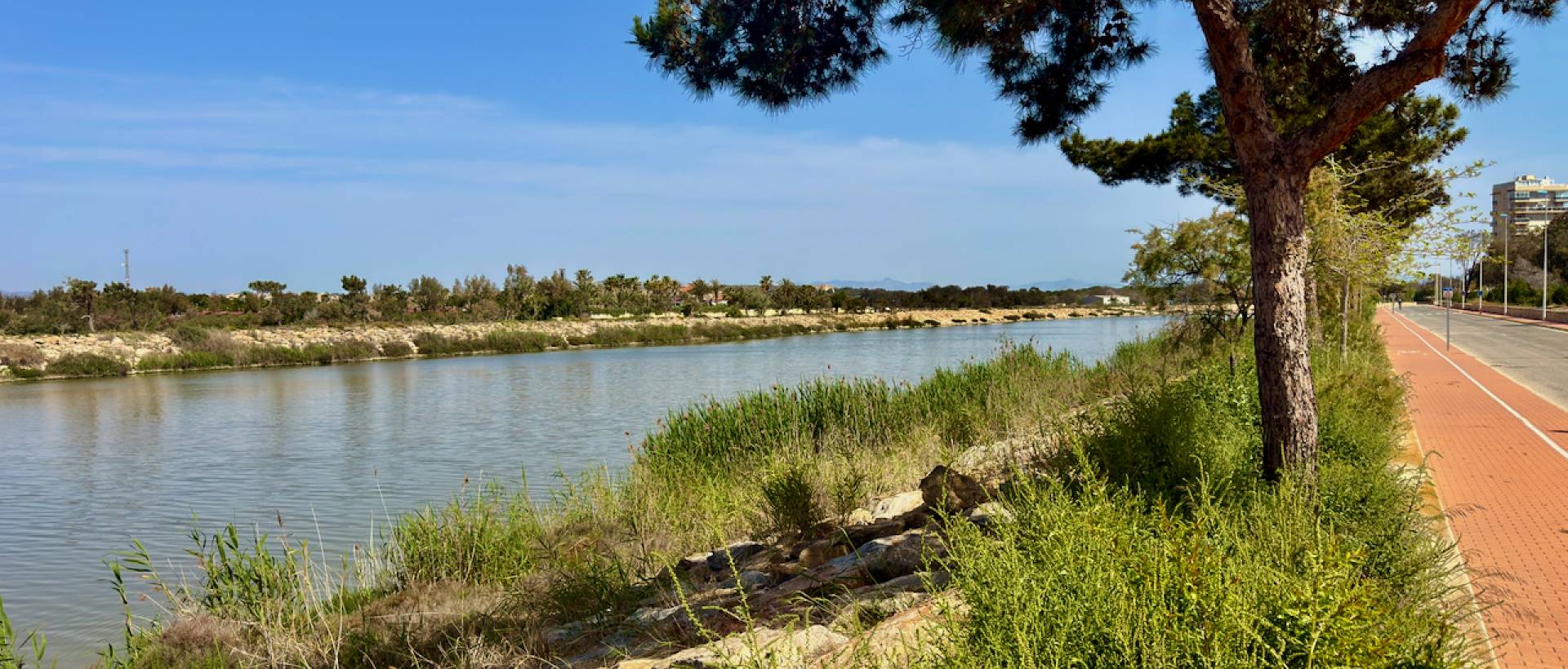 Obra Nueva - Apartmento - Guardamar del Segura - Puerto Deportivo