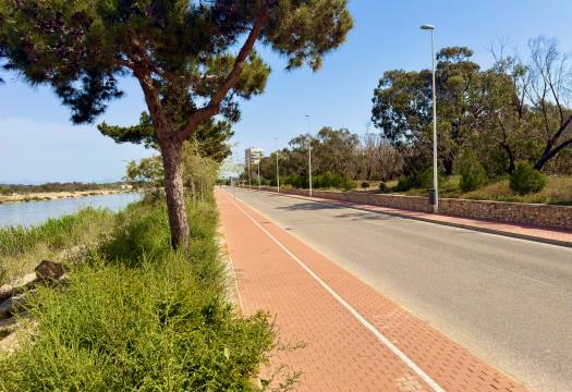 Obra Nueva - Apartmento - Guardamar del Segura - Puerto Deportivo
