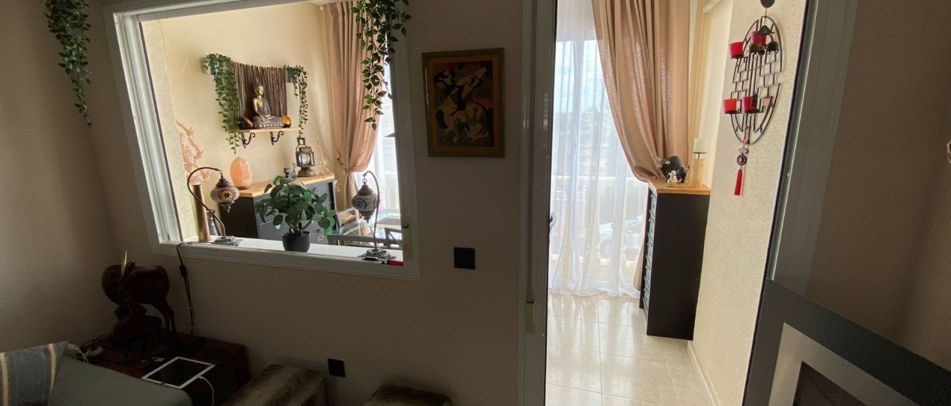 Reventa - Apartmento - Dona Pepa