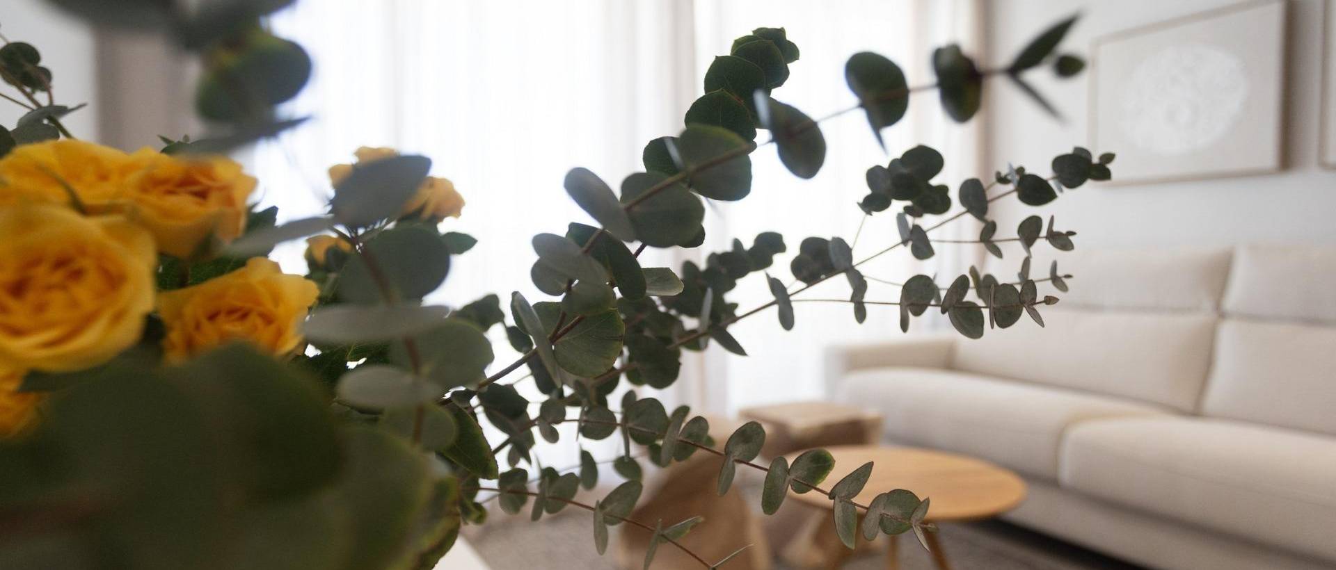 New - Apartment - Denia - L´Estanyó (Marinas)