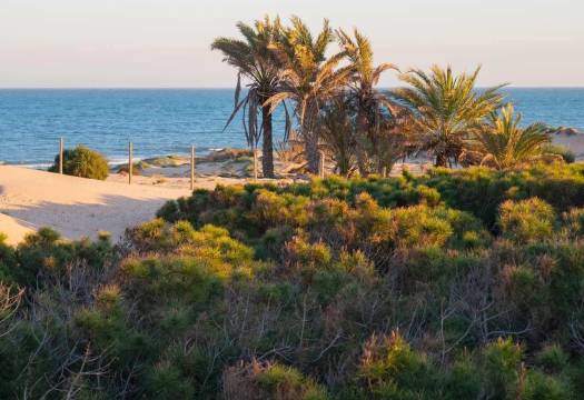 New - Apartment - Guardamar del Segura - Avda del Puerto