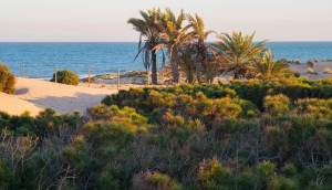 New - Apartment - Guardamar del Segura - Avda del Puerto