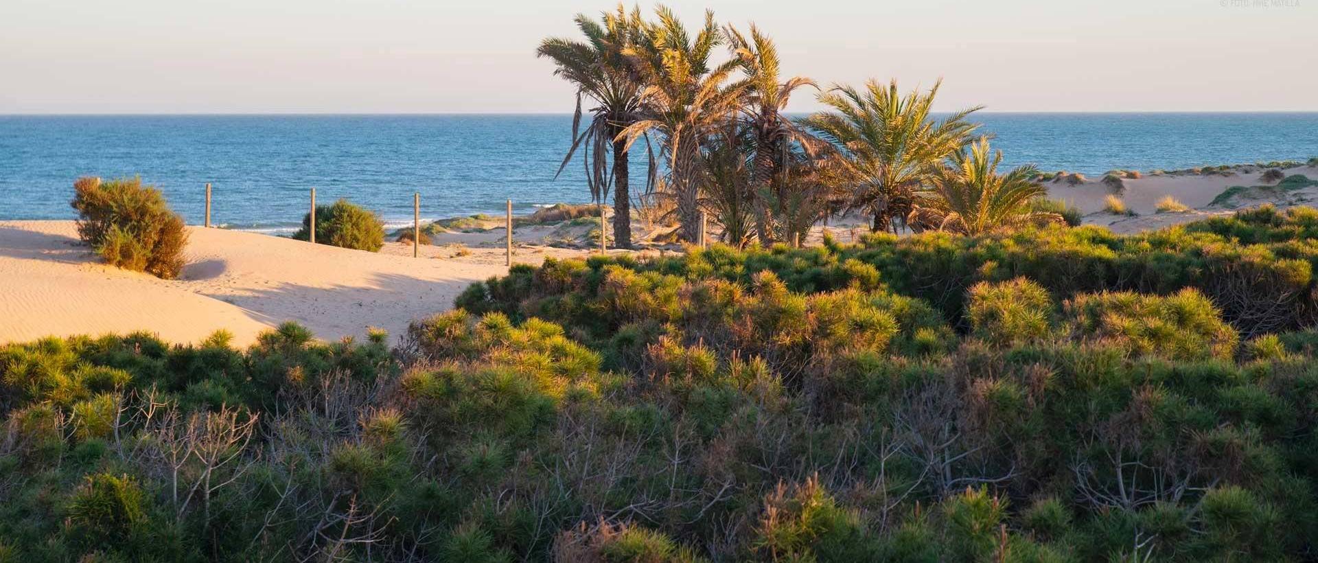 New - Apartment - Guardamar del Segura - Avda del Puerto