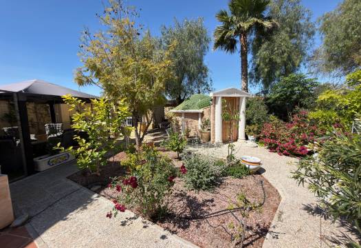 Resale - Finca / Country Property - Catral