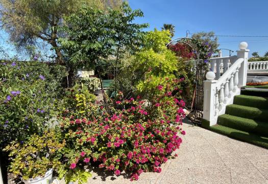 Resale - Finca / Country Property - Catral