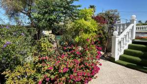 Resale - Finca / Country Property - Catral