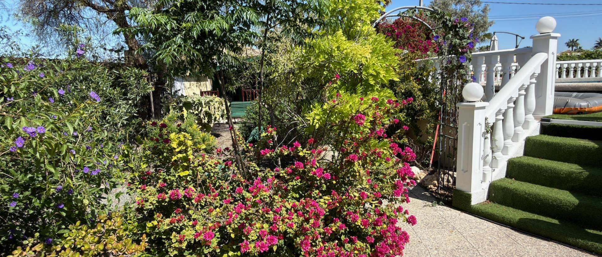 Resale - Finca / Country Property - Catral