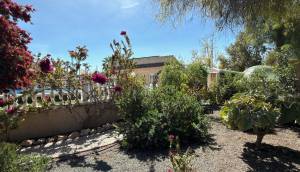 Resale - Finca / Country Property - Catral