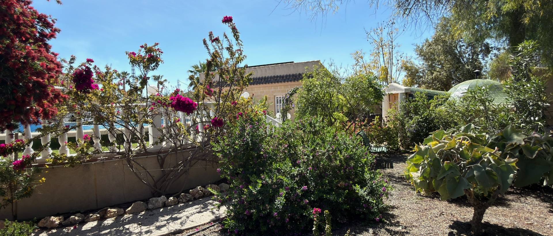 Resale - Finca / Country Property - Catral