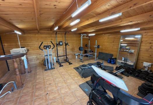 Resale - Finca / Country Property - Catral