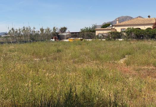 Resale - Finca / Country Property - Catral