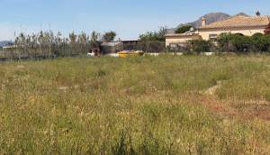 Resale - Finca / Country Property - Catral