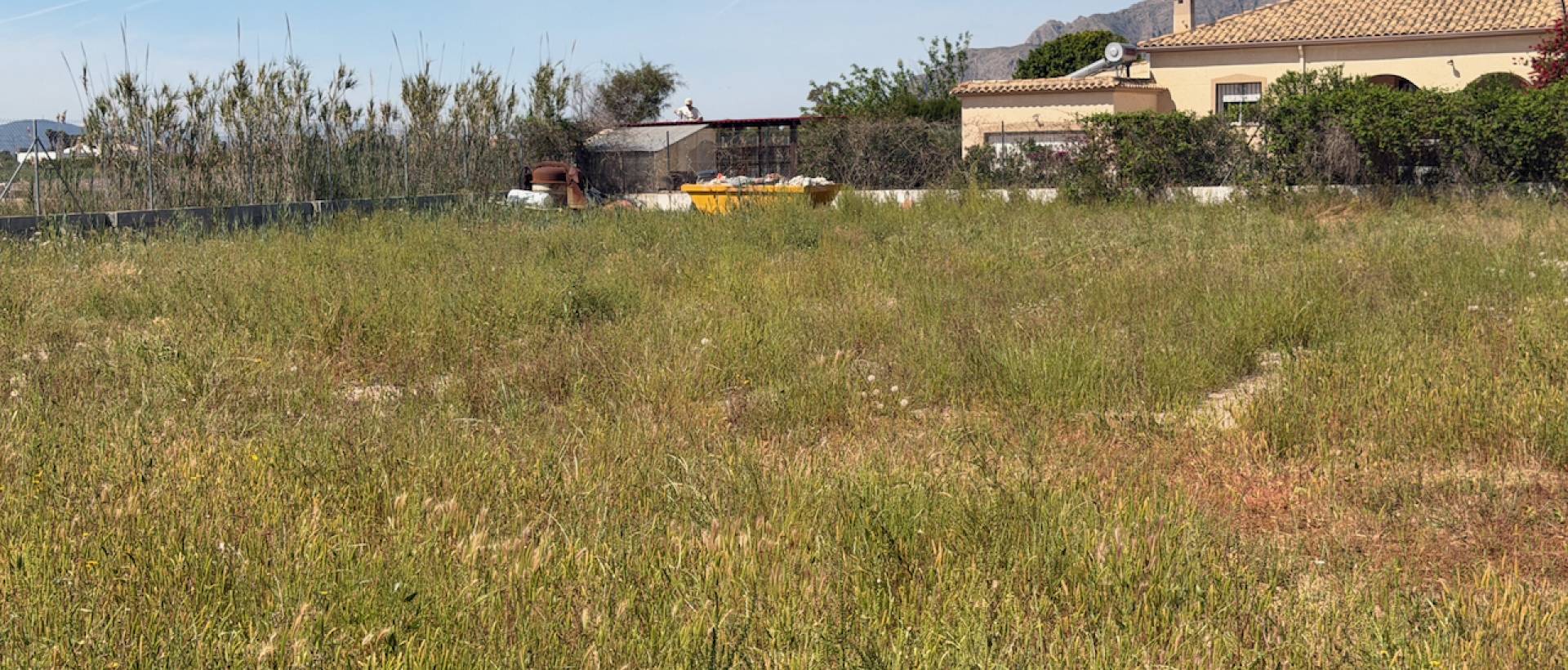 Resale - Finca / Country Property - Catral