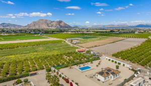 Resale - Finca / Country Property - Rafal