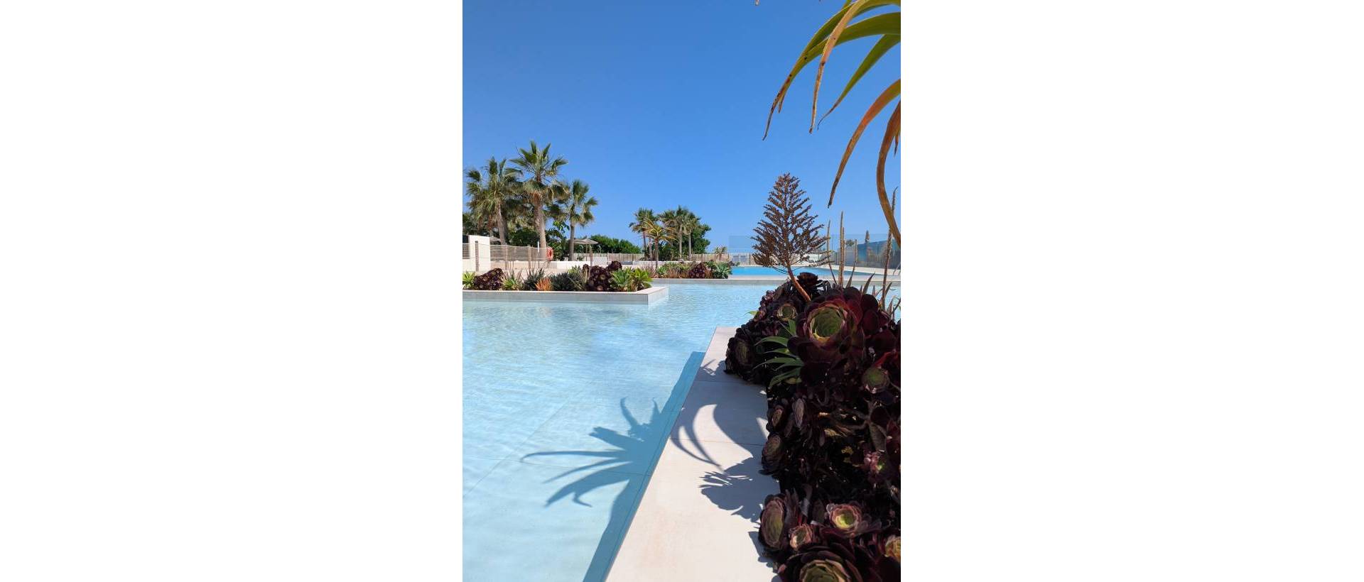 Obra Nueva - Apartmento - Denia