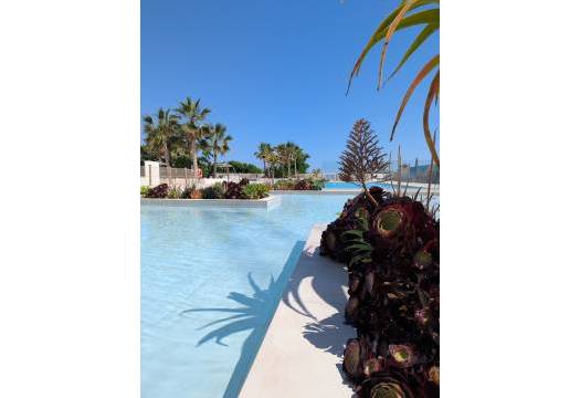 Obra Nueva - Apartmento - Denia