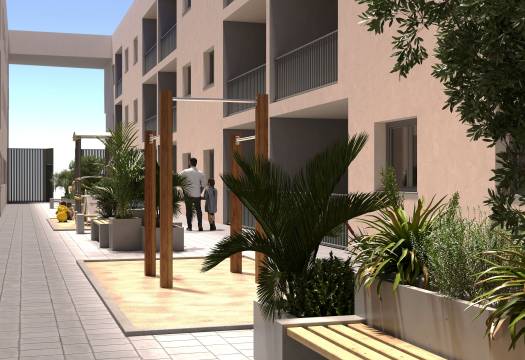 New - ground-floor - San Miguel de Salinas