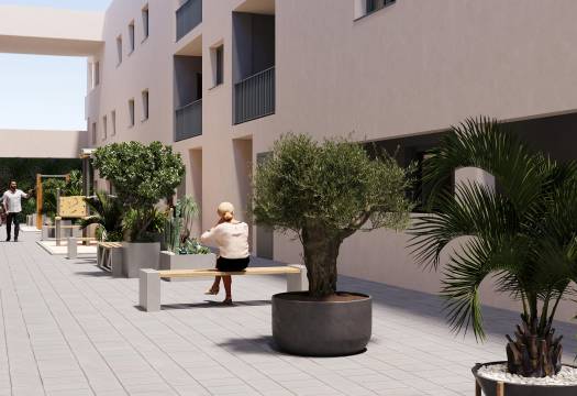 New - ground-floor - San Miguel de Salinas