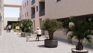New - ground-floor - San Miguel de Salinas