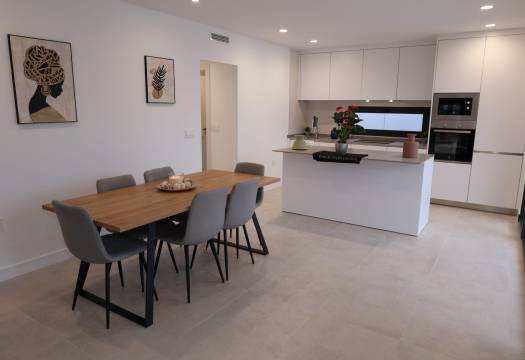 Obra Nueva - detached - Fuente Álamo - Fuente Alamo