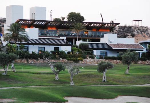 Obra Nueva - detached - Peraleja Golf