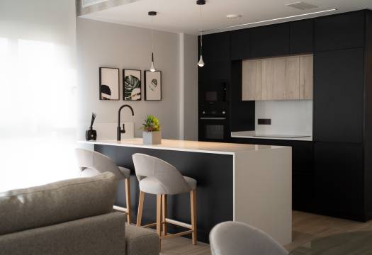 Obra Nueva - terraced - Torrevieja