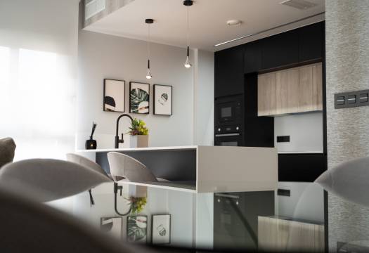 Obra Nueva - terraced - Torrevieja