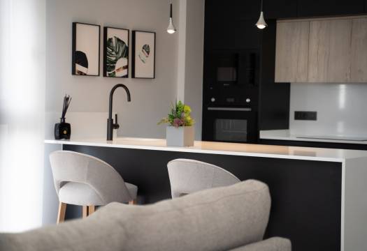 Obra Nueva - terraced - Torrevieja