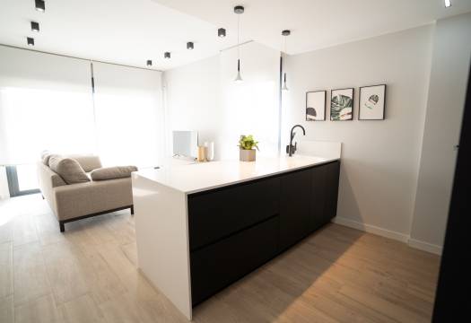 Obra Nueva - terraced - Torrevieja