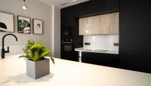 Obra Nueva - terraced - Torrevieja