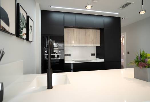 Obra Nueva - terraced - Torrevieja