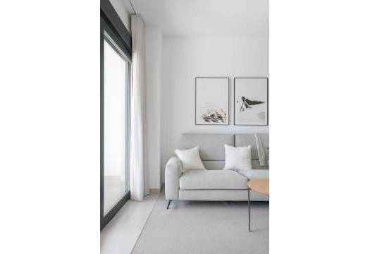 Obra Nueva - ground-floor - Torrevieja