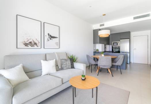 Obra Nueva - ground-floor - Torrevieja